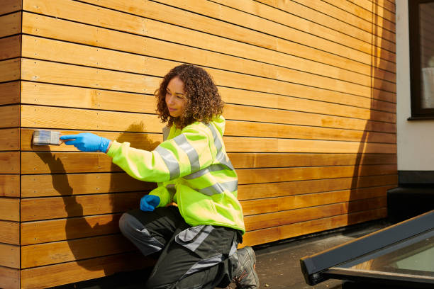 Best Fiber Cement Siding Installation  in Minden, LA